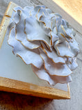 Sea Salt Flower