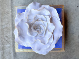 Periwinkle Flower