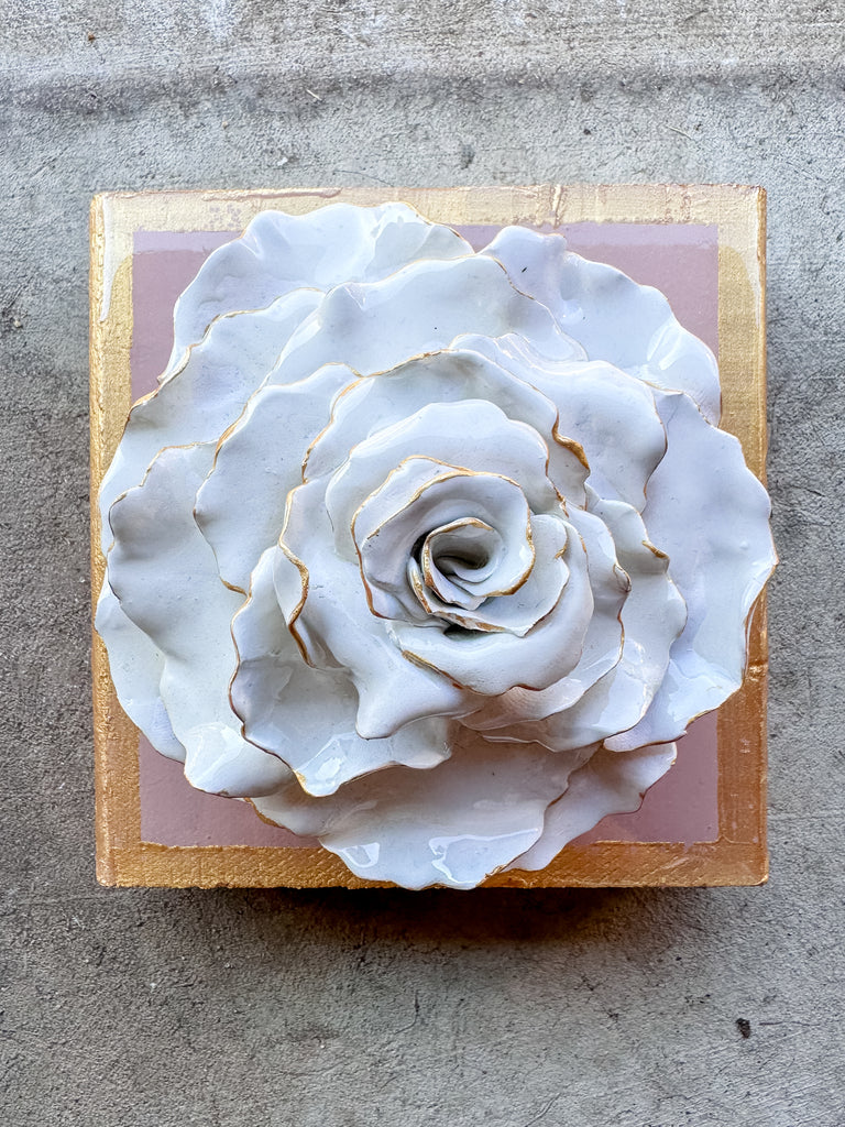 Ash Pink Rose