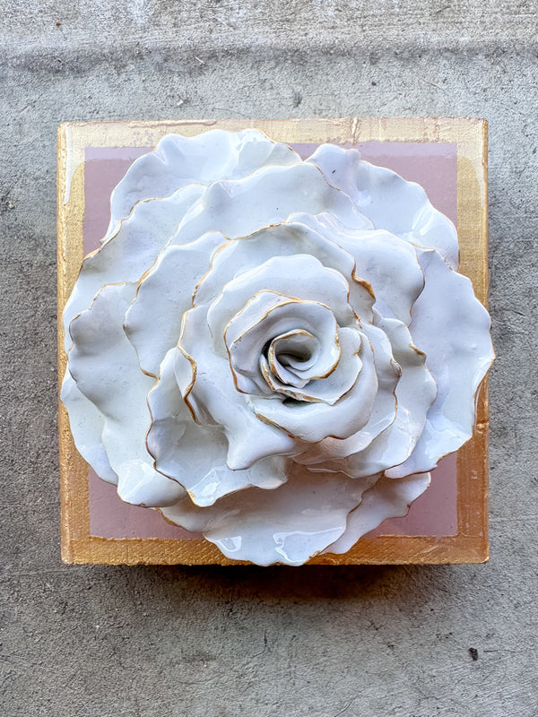 Ash Pink Rose