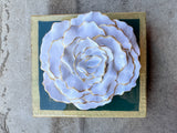Dark Green Flower