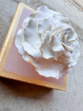 Ash Pink Rose