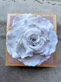 Ash Pink Rose