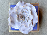 Periwinkle Flower