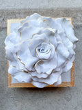 Sea Salt Flower