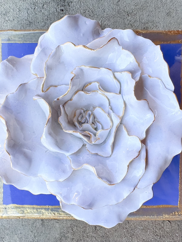 Periwinkle Flower