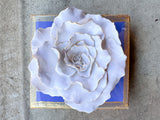 Periwinkle Flower