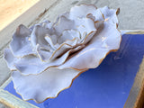 Periwinkle Flower