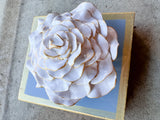French Blue Rose