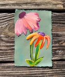 Wildflowers in the Field