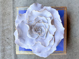 Periwinkle Flower