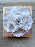 Ash Pink Rose