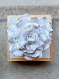 Sea Salt Flower