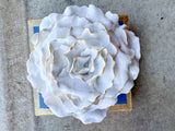 Wedgewood Blue Flower