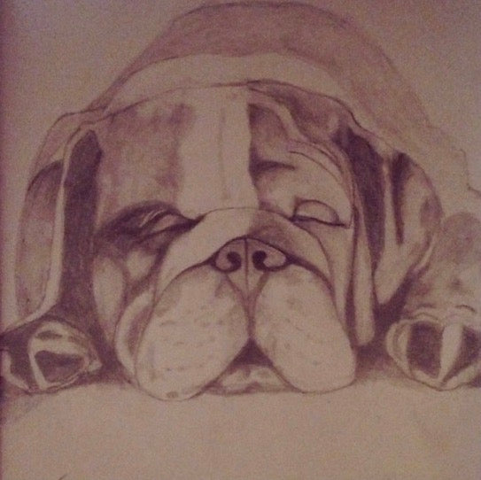 Baby Bully