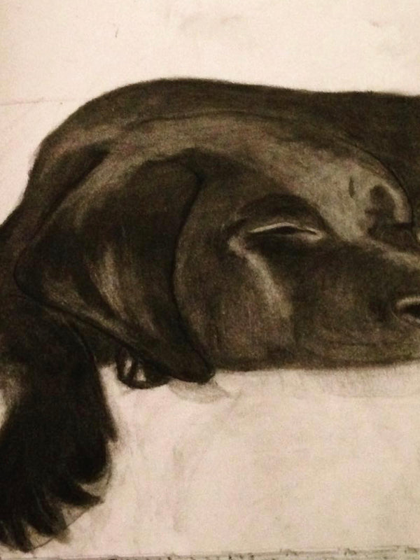 Sleeping Puppy
