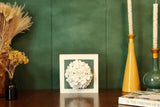 Green Hydrangea
