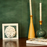 Green Hydrangea