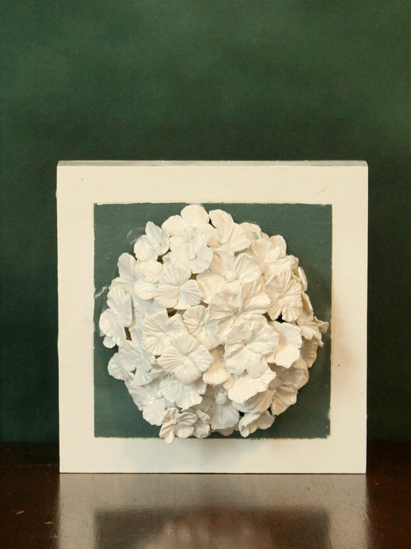 Green Hydrangea
