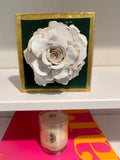 Green Special Rose