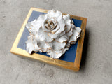 Wedgewood Special Rose