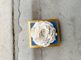 Wedgewood Blue Rose