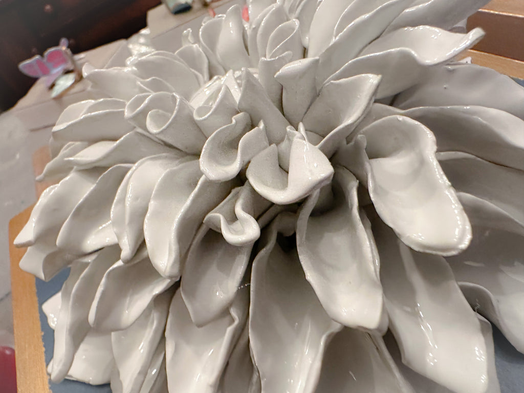Wedgewood Blue Giant Dahlia