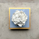 French Blue Giant Rose