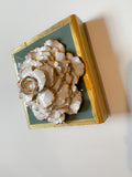 Sage Green Special Rose
