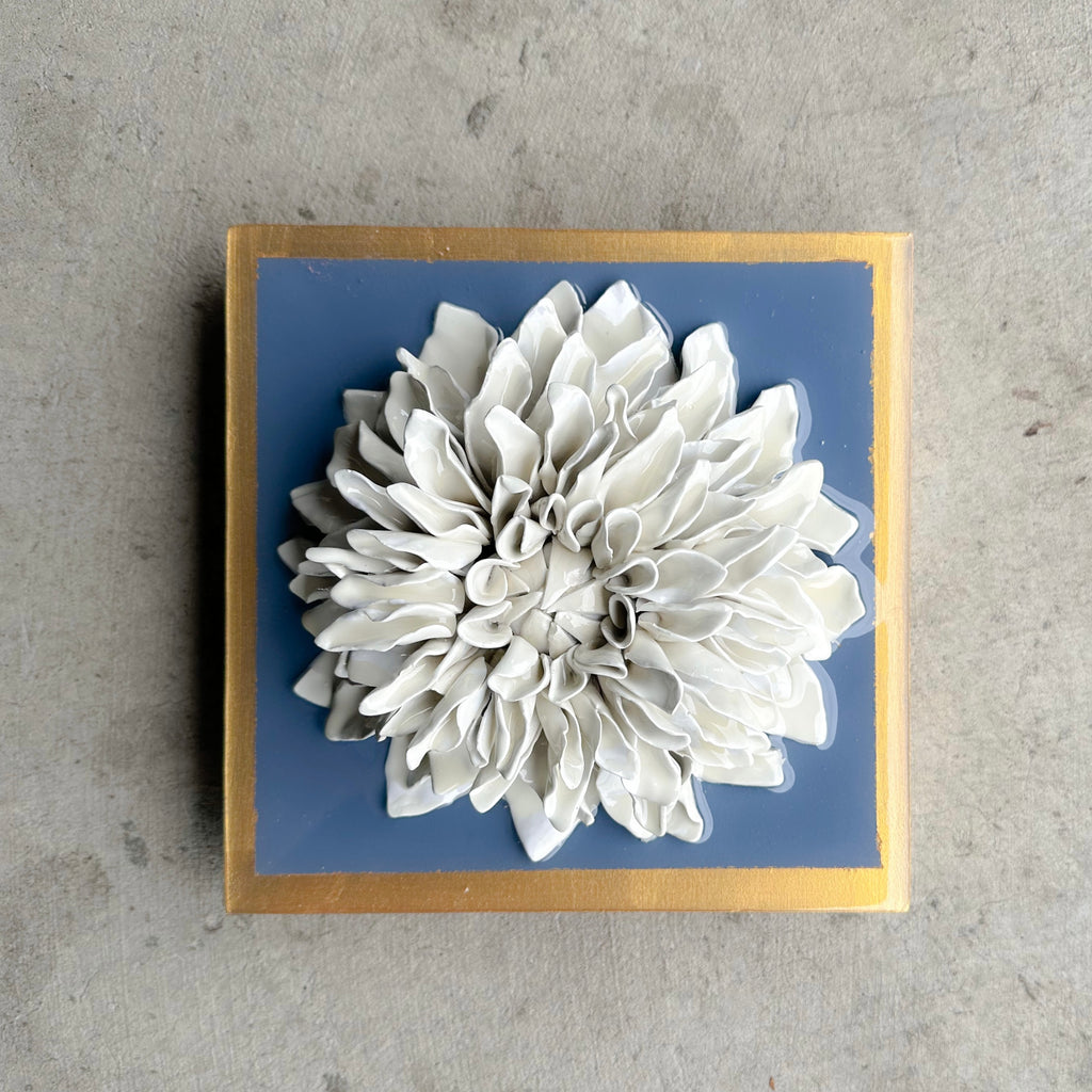 Wedgewood Blue Giant Dahlia