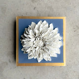 Wedgewood Blue Giant Dahlia
