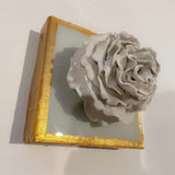 Sea Salt Special Rose