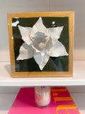 Magnolia Flower in Olive