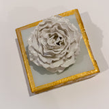 Sea Salt Special Rose