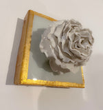 Sea Salt Special Rose