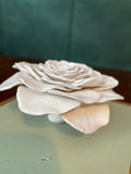 Bare Clothed: Sage Green