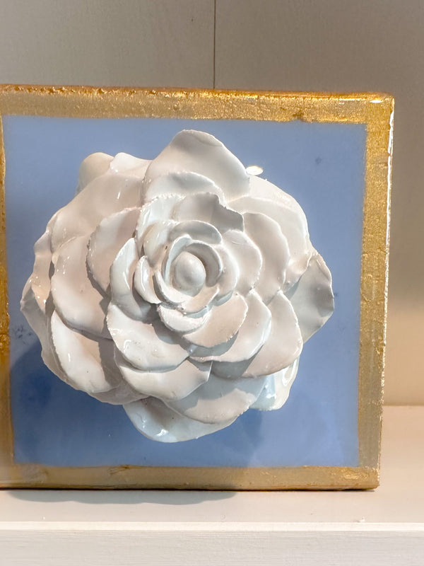 French Blue and White Rose