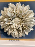 Wedgewood Blue Giant Dahlia