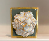Sage Green Special Rose