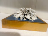 Wedgewood Blue Giant Dahlia