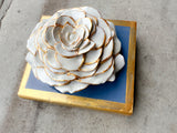 Wedgewood Blue Rose