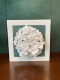 Green Hydrangea
