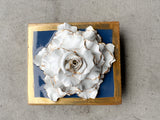 Wedgewood Special Rose