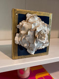 Wedgewood Special Rose