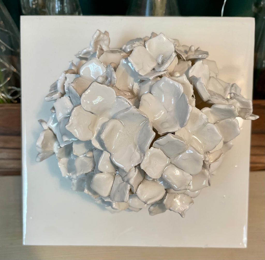 White Hydrangea