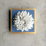 Wedgewood Blue Giant Dahlia