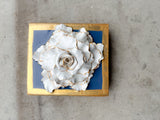 Wedgewood Special Rose