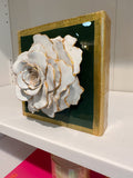 Green Special Rose