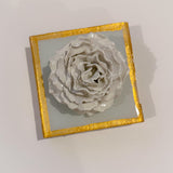 Sea Salt Special Rose