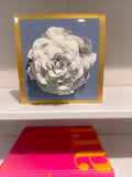 French Blue Giant Rose
